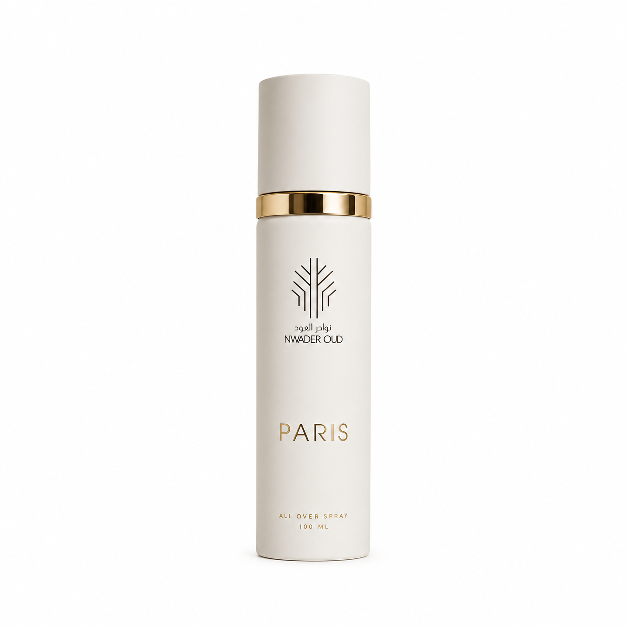 Paris | All Over Spray