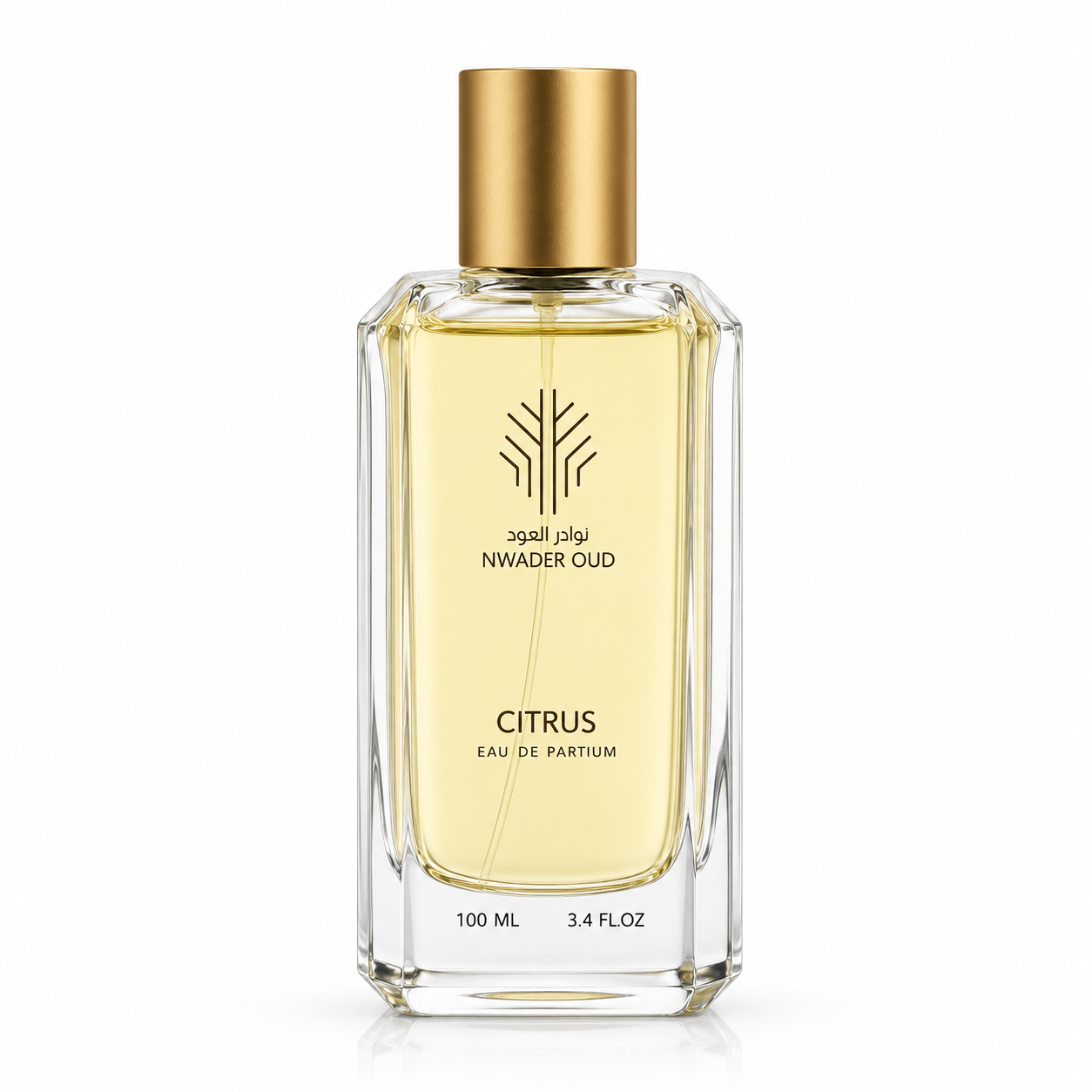 CITRUS PERFUME | Premium Perfumes