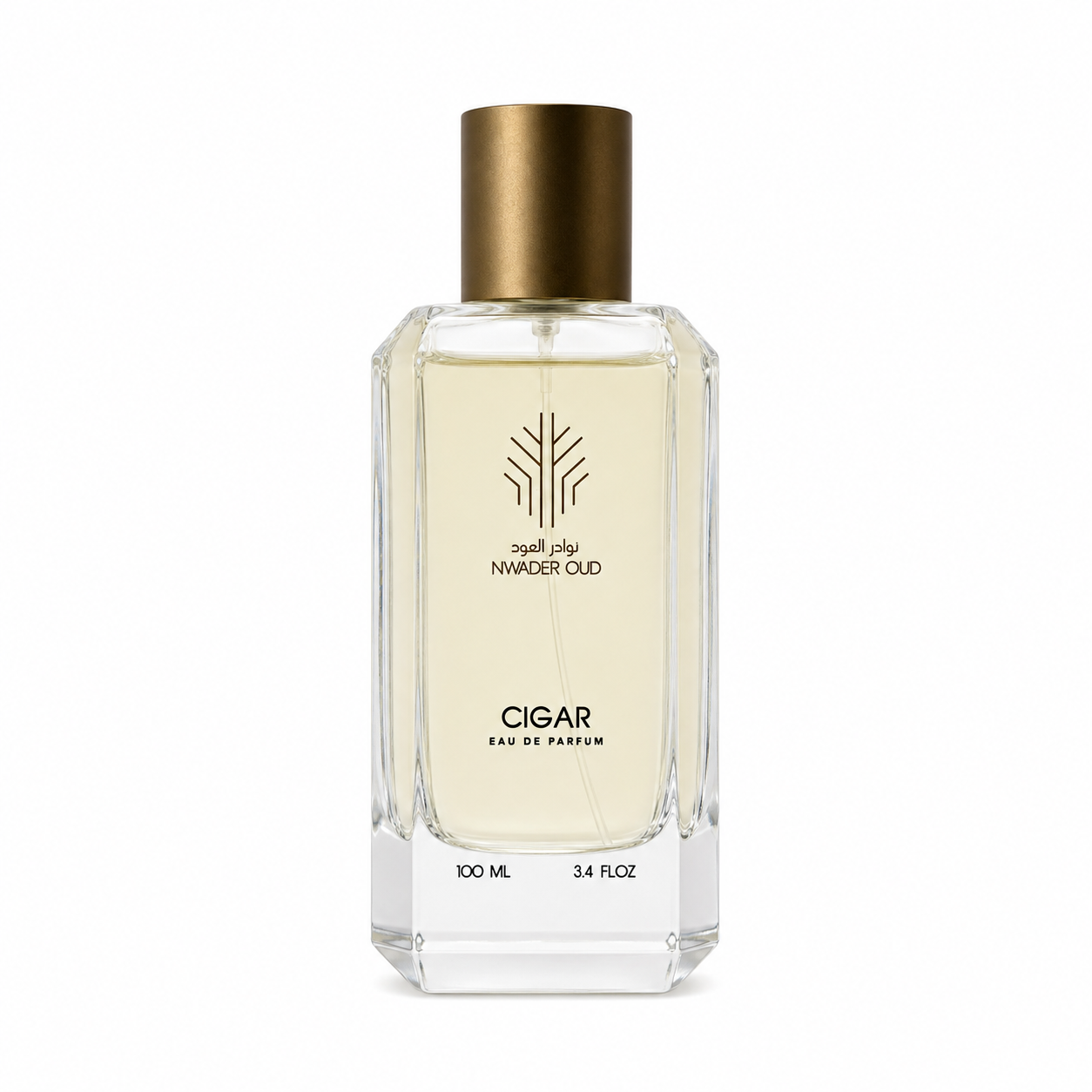 CIGAR PERFUME | Premium Perfumes