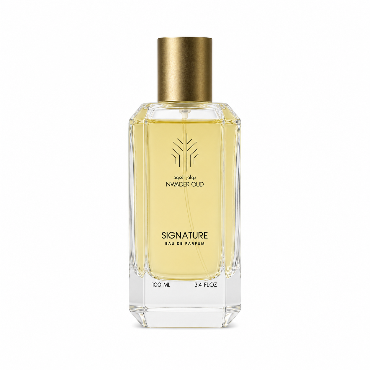 SIGNATURE PERFUME | Premium Perfumes